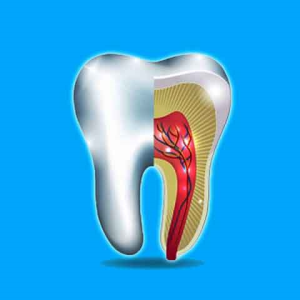 کلینیک دندانپزشکی دریای نور